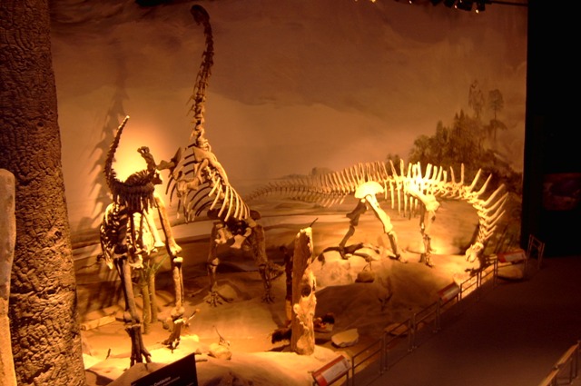 Foto de Trelew (Chubut), Argentina