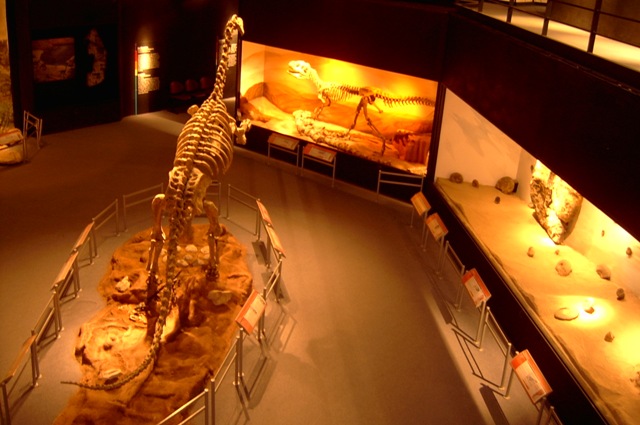 Foto de Trelew (Chubut), Argentina