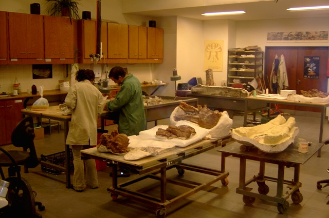 Foto de Trelew (Chubut), Argentina