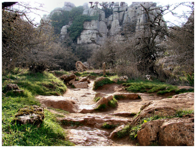 Foto de Antequera (Málaga), España