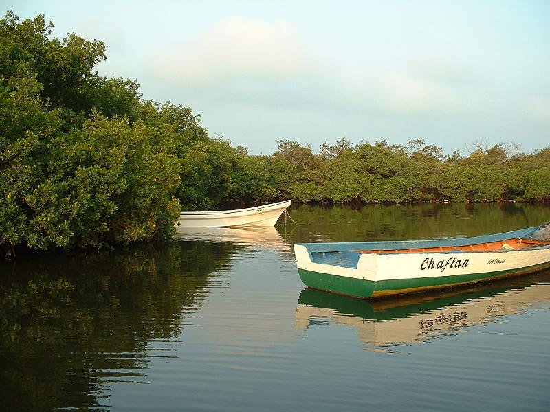Foto de Parque Nacional Morrocoy, Venezuela