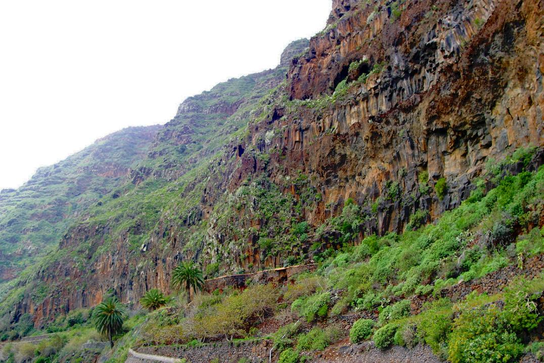 Foto de Agulo - La Gomera (Santa Cruz de Tenerife), España