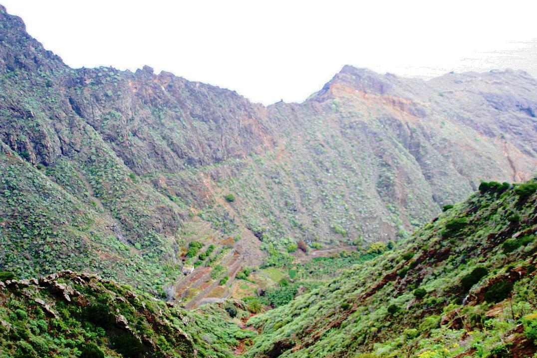 Foto de Agulo - La Gomera (Santa Cruz de Tenerife), España