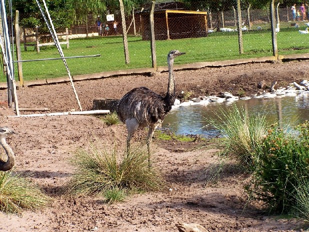 Foto de Almirante Brown (Buenos Aires), Argentina