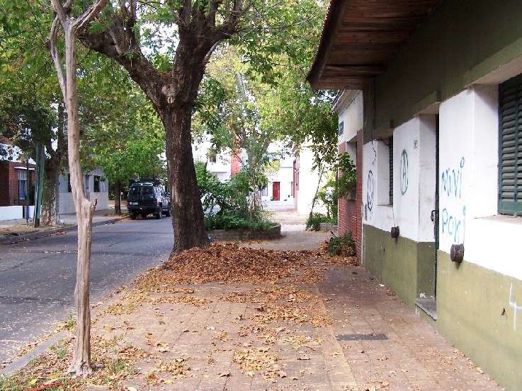 Foto de Ciudad de Buenos Aires, Argentina