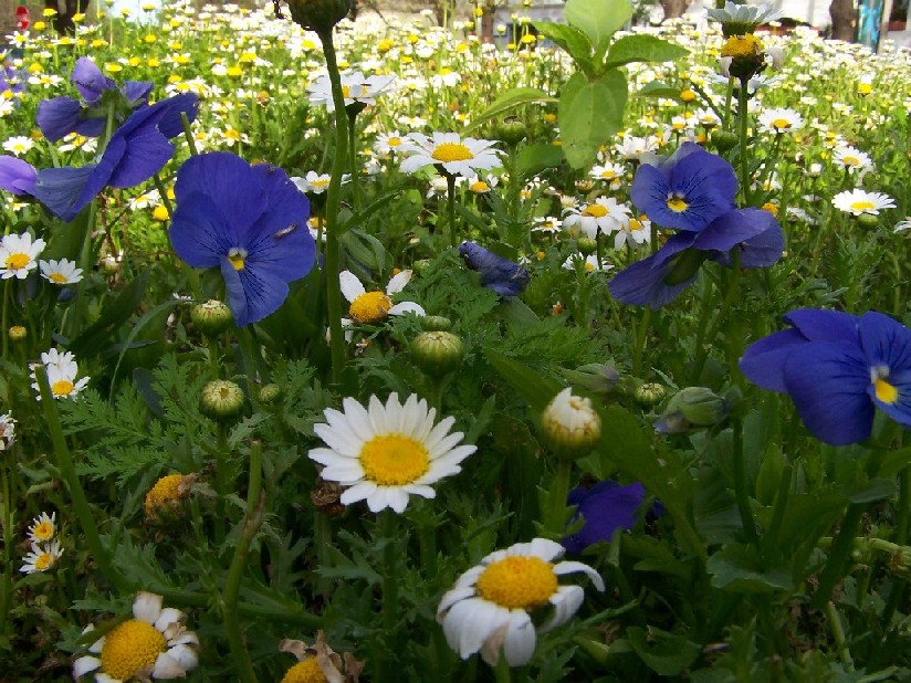 Foto de Ciudad de Buenos Aires, Argentina