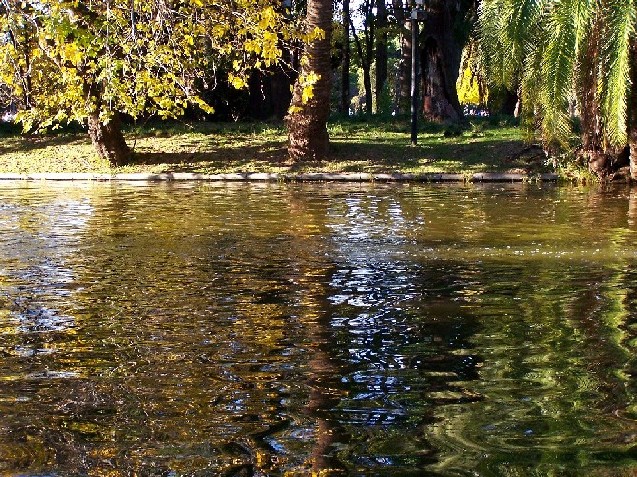 Foto de Tigre, Argentina