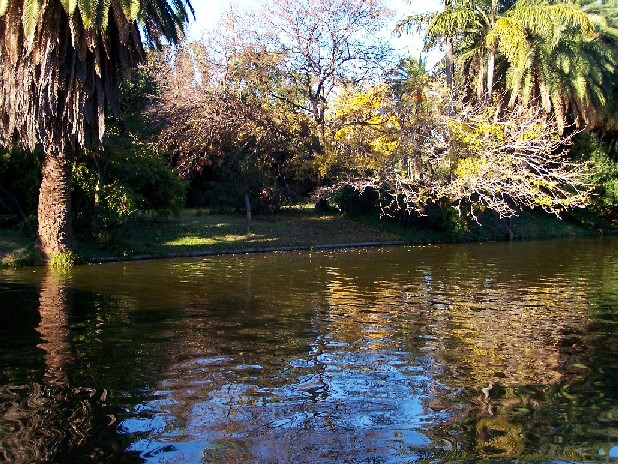 Foto de Tigre, Argentina