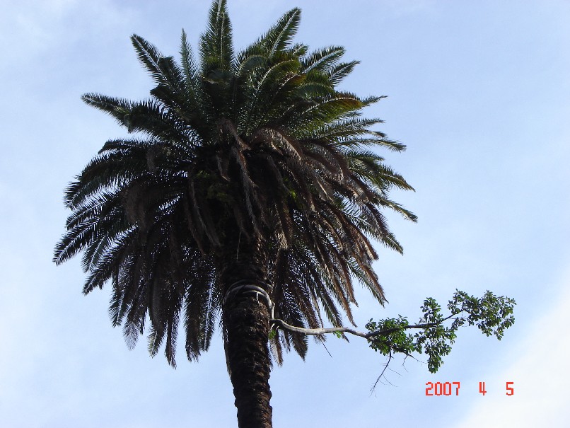 Foto de Ciudad de Buenos Aires, Argentina