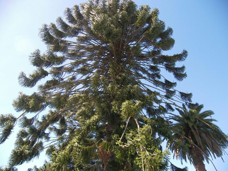 Foto de FLORIDA, Uruguay