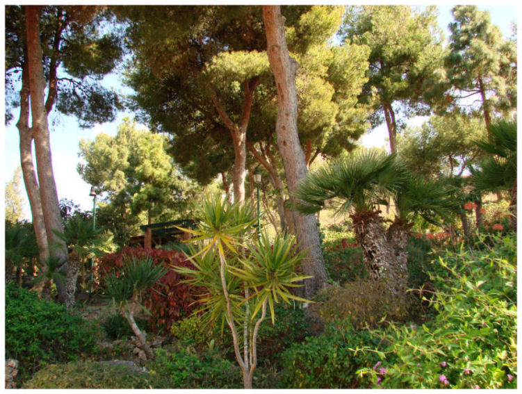 Foto de Nerja (Málaga), España