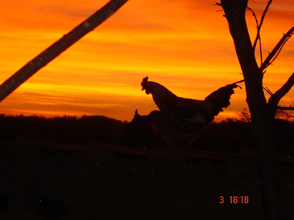 Foto de La Cuta (Cordillera - Santa Cruz), Bolivia