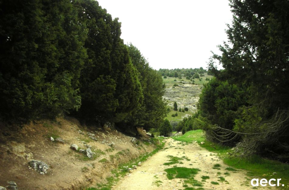 Foto de Valdesaz (Segovia), España