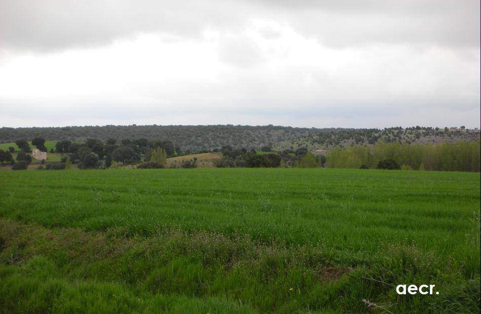 Foto de Valdesaz (Segovia), España