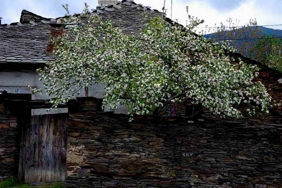 Foto de Majaelrayo (Guadalajara), España