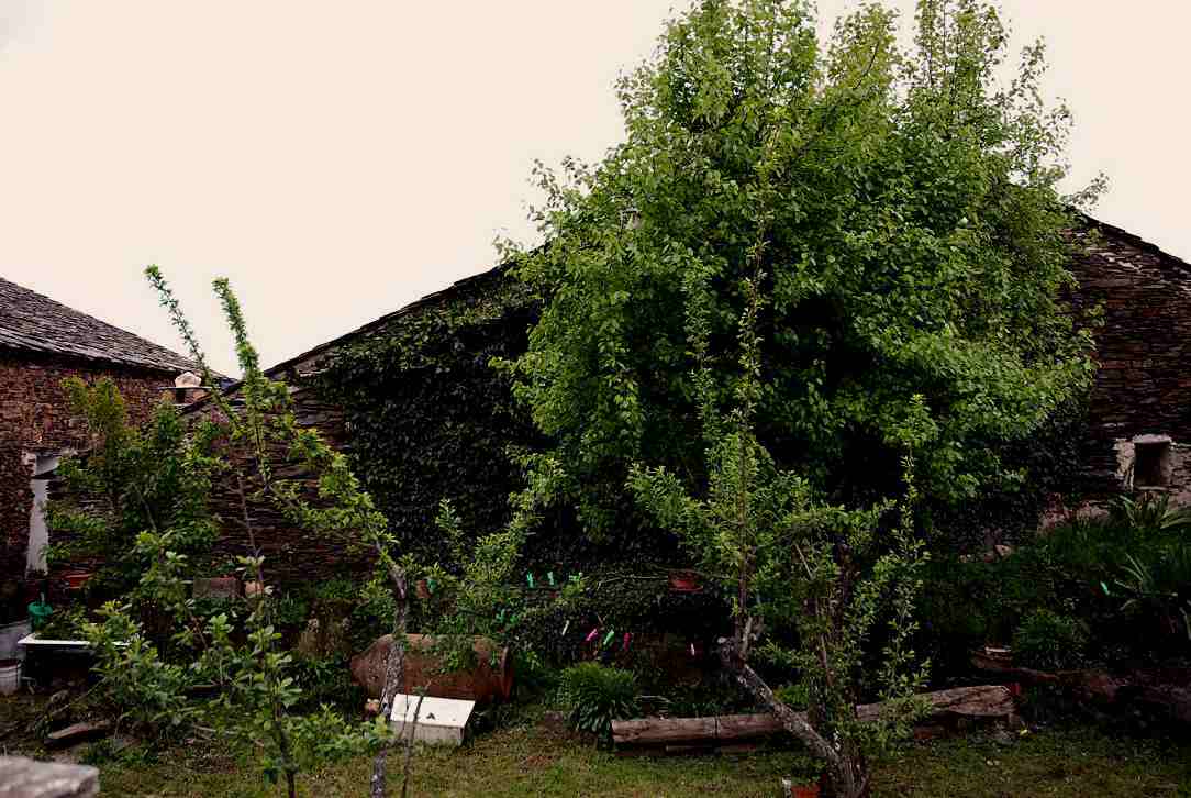 Foto de Majaelrayo (Guadalajara), España