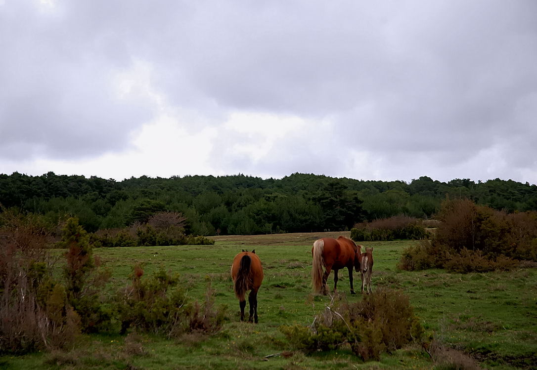Foto de Cantalojas (Guadalajara), España