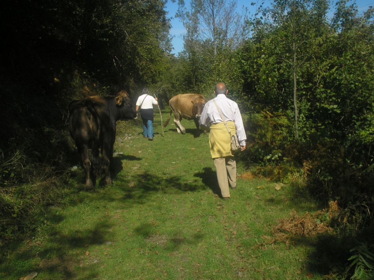 Foto de Ezcaray (La Rioja), España