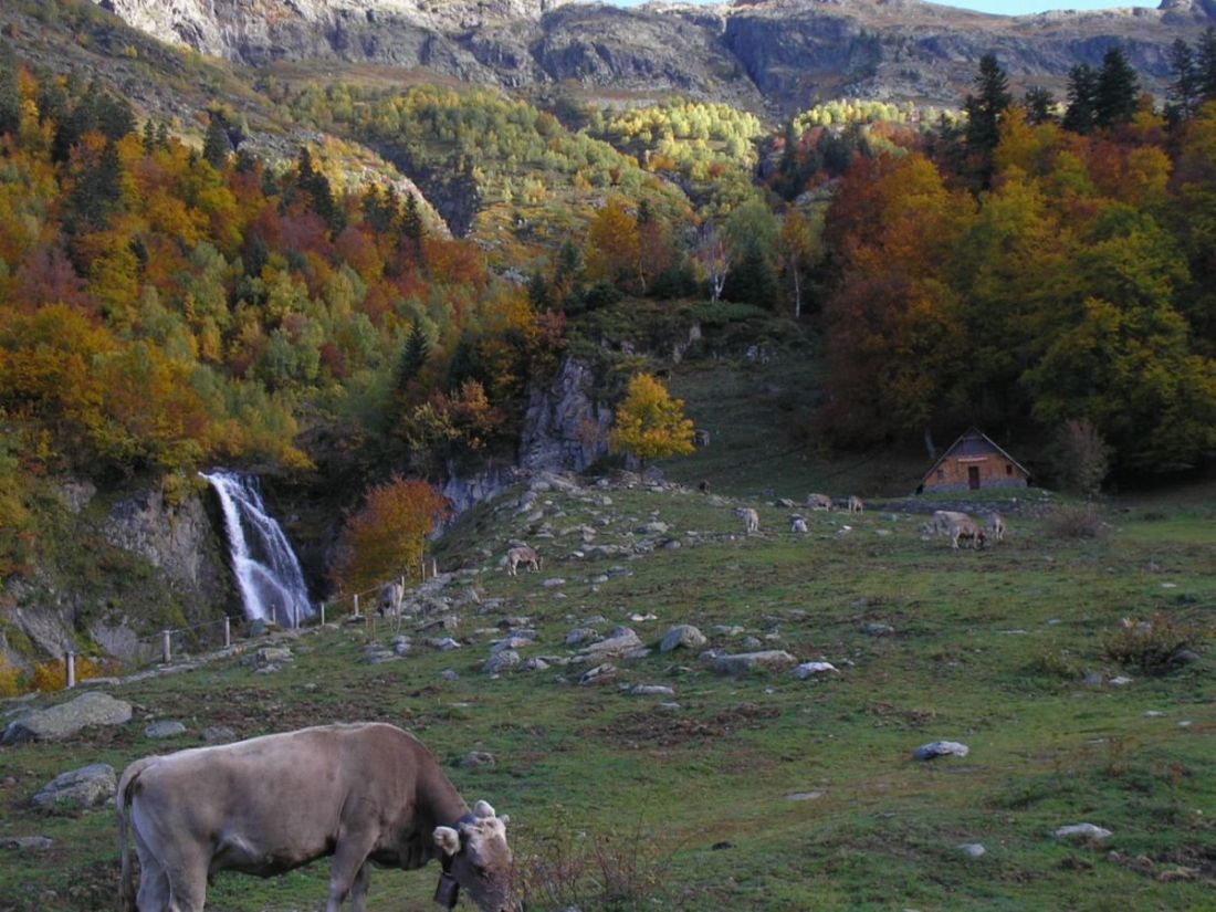 Foto de Viella (Lleida), España