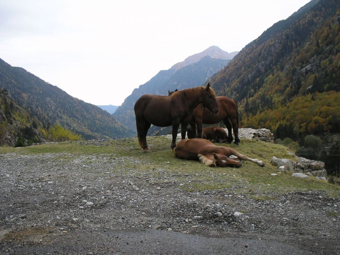 Foto de Caldes de Boi (Lleida), España
