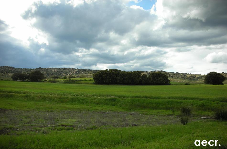 Foto de Quijorna (Madrid), España