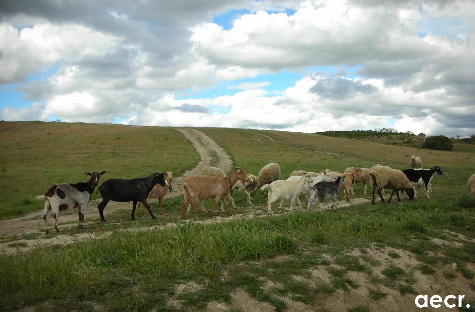 Foto de Quijorna (Madrid), España