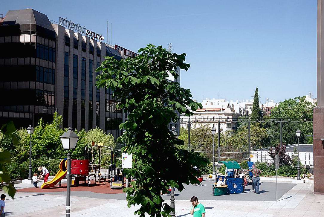 Foto de Madrid (Comunidad de Madrid), España