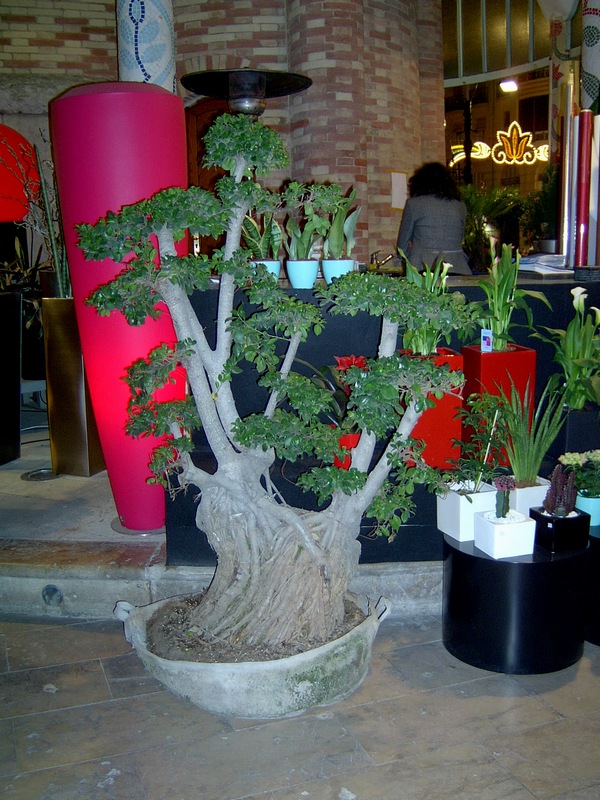 Foto de Valencia (València), España