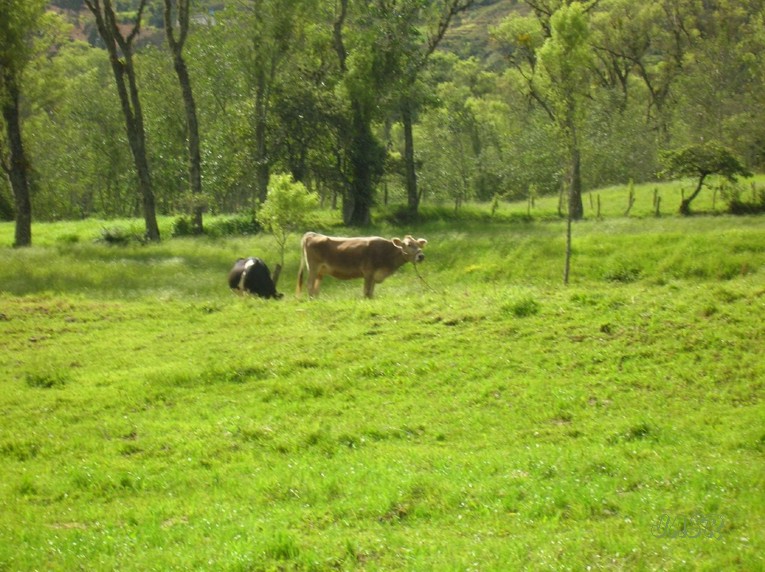 Foto de Cutervo, Perú