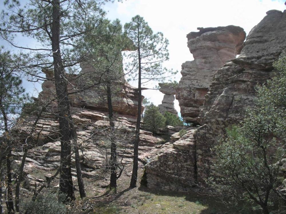 Foto de Pajaroncillo (Cuenca), España