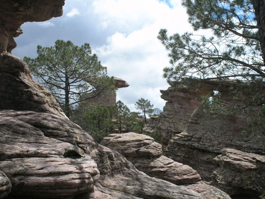 Foto de Pajaroncillo (Cuenca), España