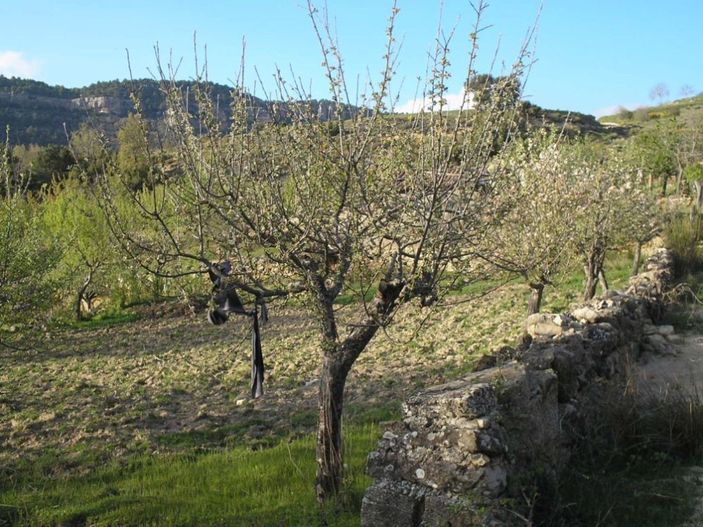 Foto de Valdecabras (Cuenca), España