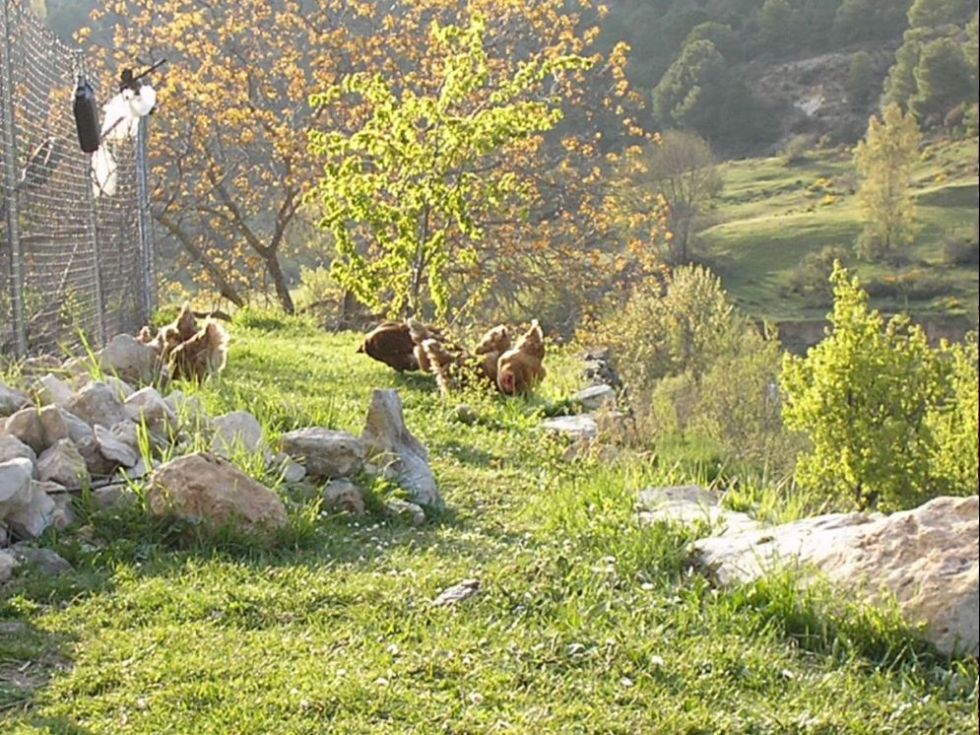 Foto de Valdecabras (Cuenca), España
