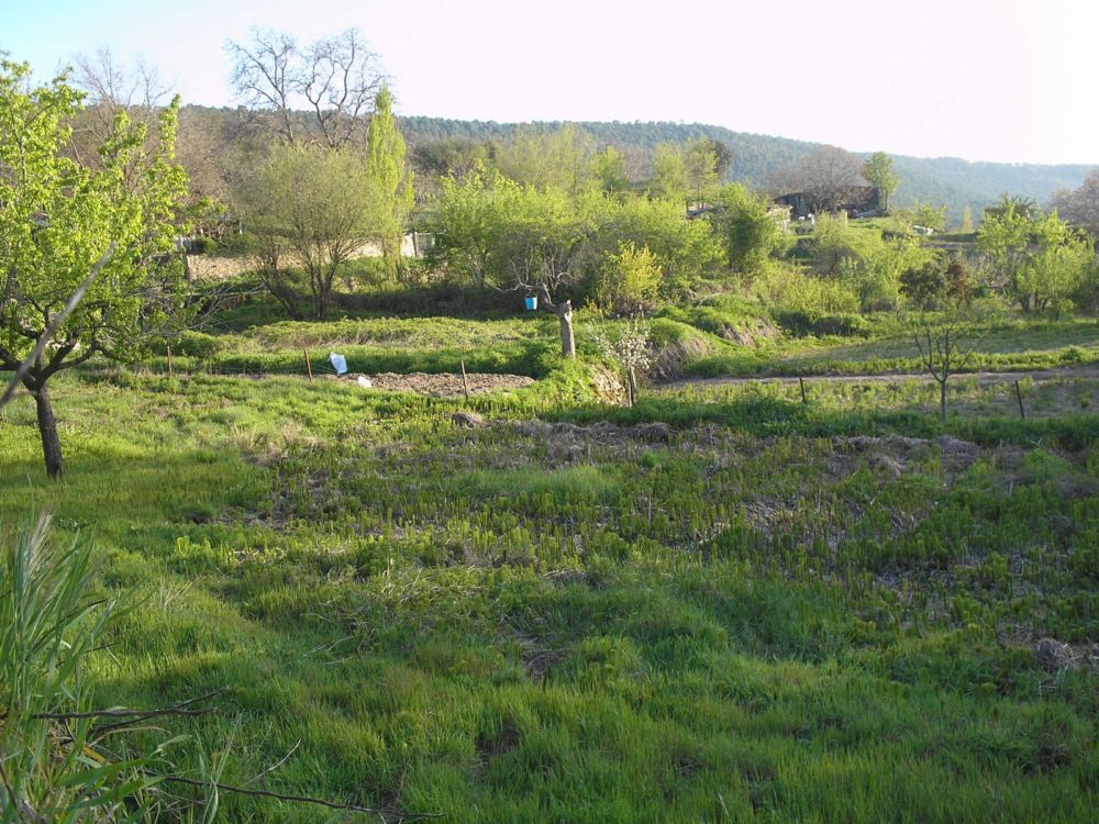 Foto de Valdecabras (Cuenca), España