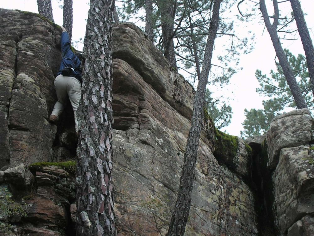 Foto de Pajaroncillo (Cuenca), España