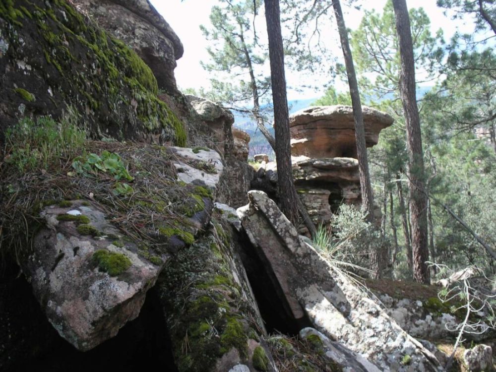 Foto de Pajaroncillo (Cuenca), España