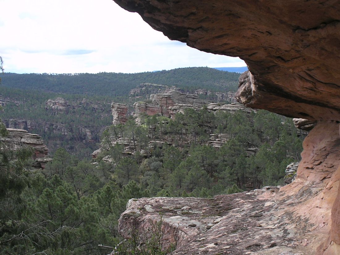 Foto de Pajaroncillo (Cuenca), España