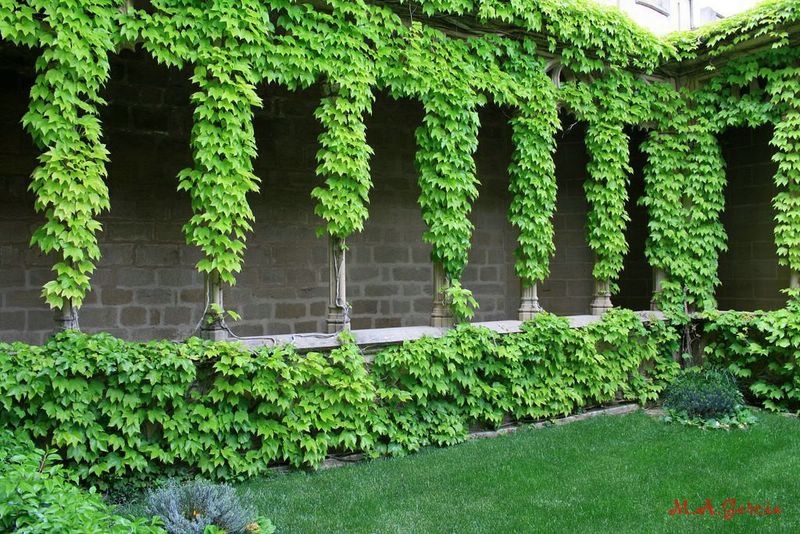 Foto de Olite (Navarra), España