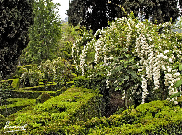 Foto de Granada (Andalucía), España