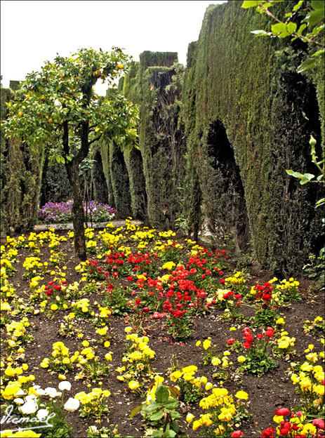 Foto de Granada (Andalucía), España