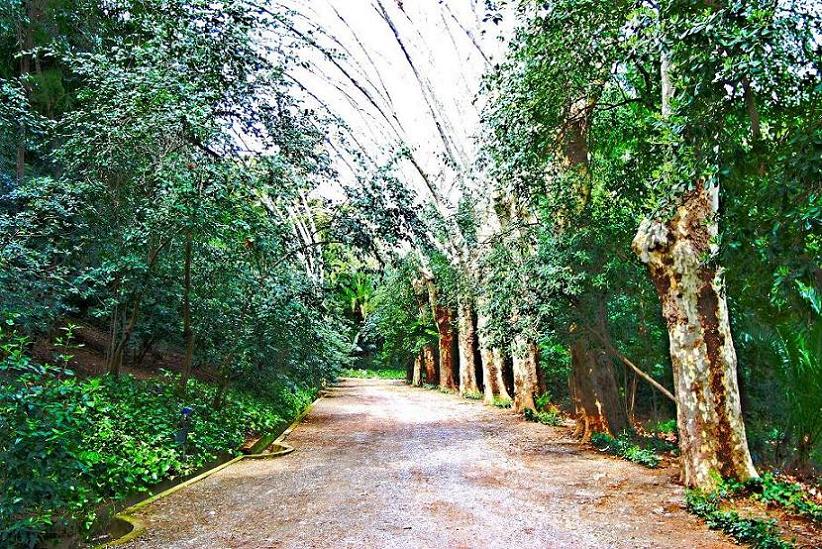 Foto de Málaga (Andalucía), España