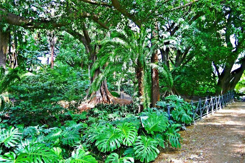 Foto de Málaga (Andalucía), España