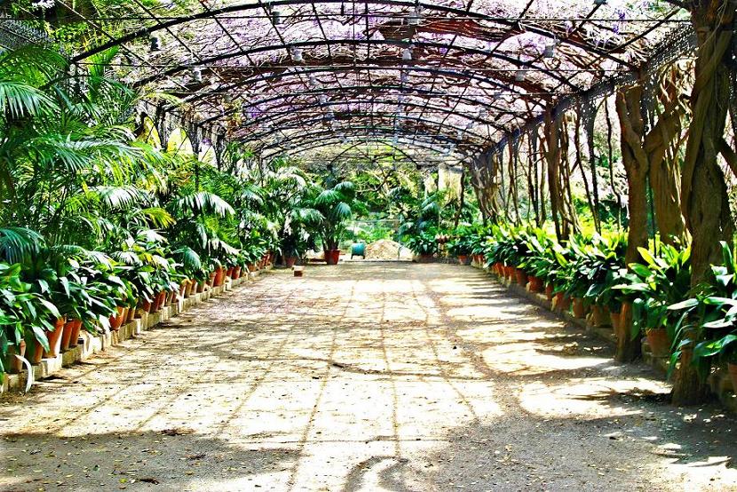 Foto de Málaga (Andalucía), España