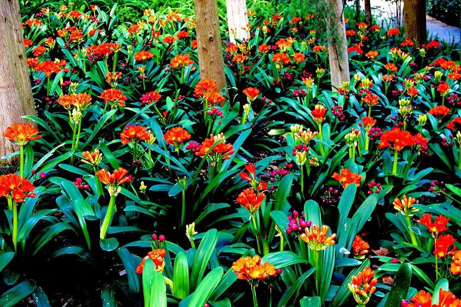 Foto de Málaga (Andalucía), España