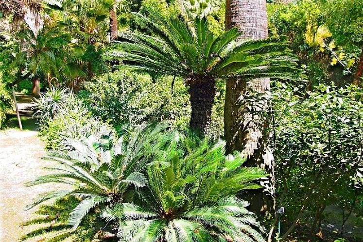 Foto de Málaga (Andalucía), España