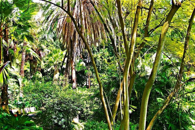 Foto de Málaga (Andalucía), España