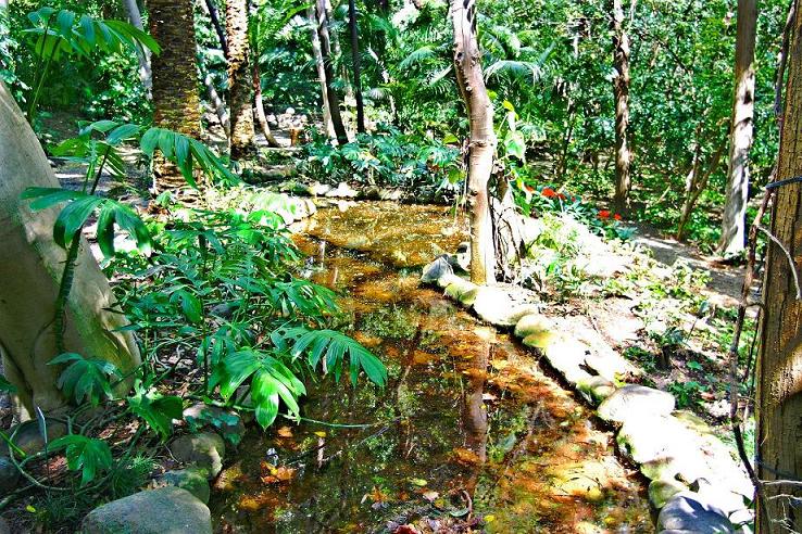 Foto de Málaga (Andalucía), España