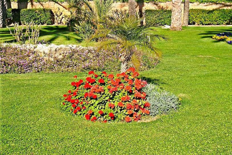 Foto de Jávea (Alicante), España