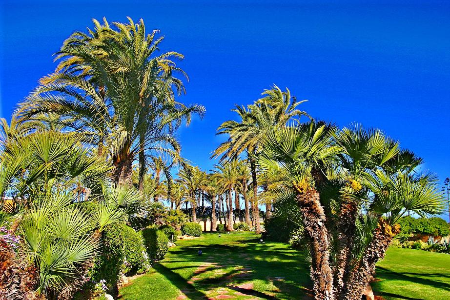 Foto de Jávea (Alicante), España