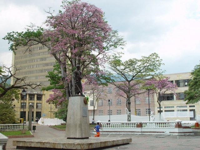 Foto de Ibagué, Colombia